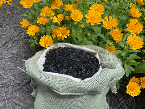 BioChar fertilizer charcoal packaged in all natural cotton and burlap bag 